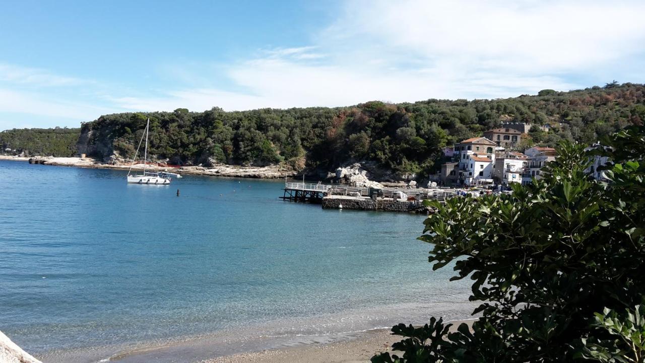 Villa Kalimera Sorrento Eksteriør billede