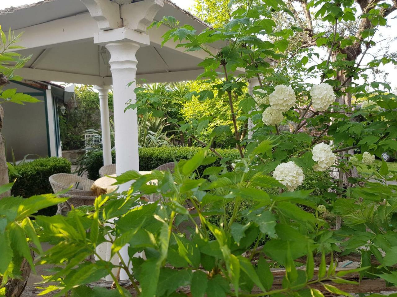 Villa Kalimera Sorrento Eksteriør billede